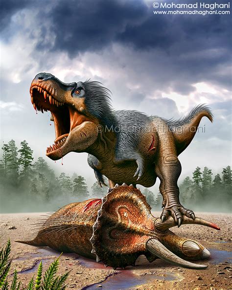 Tyrannosaurus rex Vs Triceratops by haghani on DeviantArt