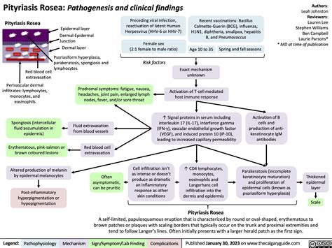 Pityriasis Rosea | Calgary Guide