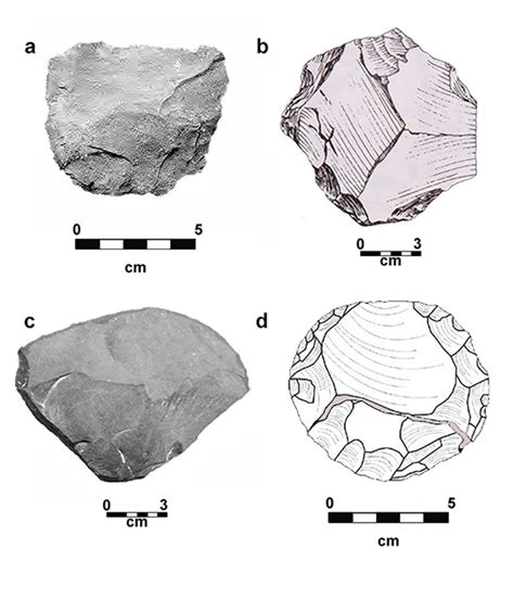 Examples of Levallois products. References: a) Levallois flake removed ...