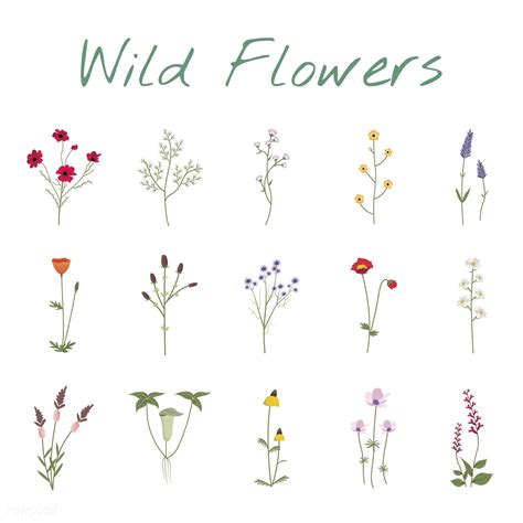 Download premium vector of Illustrated wild flowers about meadow, flower icon, artwork ...