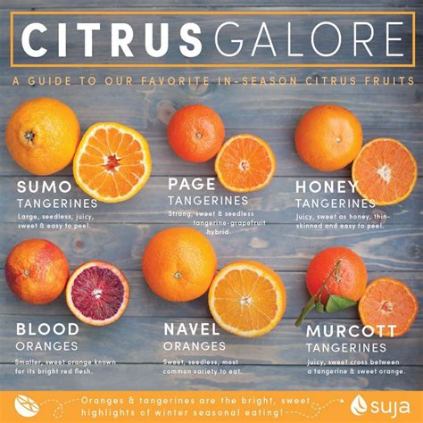 Seasonal Citrus Fruits | Blood Oranges, Tangerines & More | Suja Juice ...