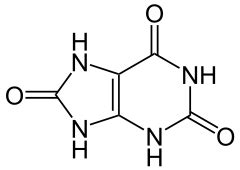 Ksantiinioksidaasi – Wikipedia