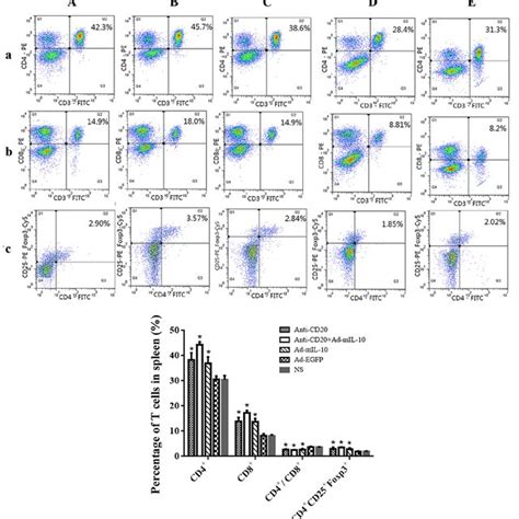 Immunohistochemistry results demonstrating CD20 expression in the ...