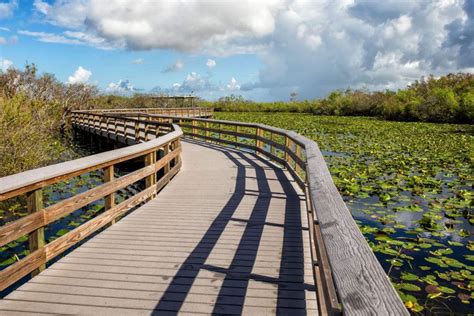 One Perfect Day in Everglades National Park – Earth Trekkers