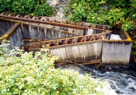 Ketchikan Salmon Fish Ladder Editorial Stock Photo - Stock Image | Shutterstock