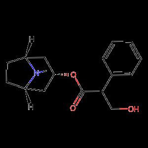 Mechanism Of Action Of Atropine