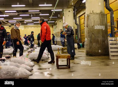 Tuna auction at Tsukiji Fish Market Stock Photo - Alamy