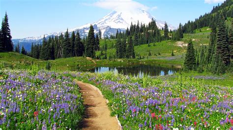 7 Best Wildflower Trails and Spring Hikes in the US | Therm-a-Rest Blog