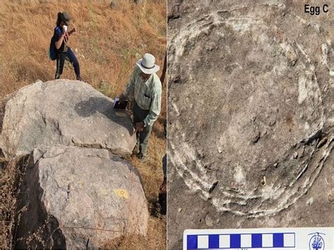 New fossil discovery from Central India throws light on the ...