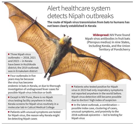 New virus NIPAH seriously threatens humanity