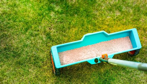 7 Best Phosphorus Fertilizer for Lawns Reviewed 2024: Top Picks