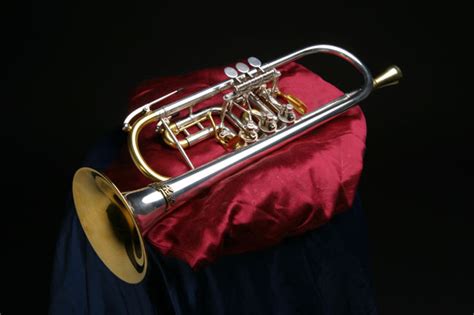 La Tromba Music | Professional models
