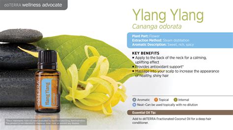 Ylang Ylang Oil | dōTERRA Essential Oils