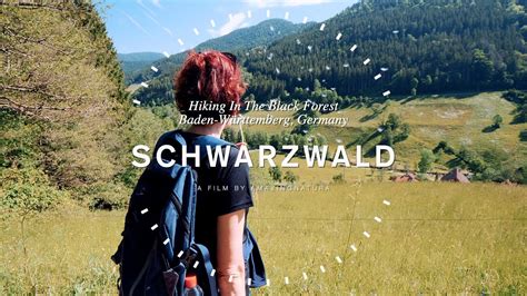 Schwarzwald - Hiking in the Black Forest - YouTube