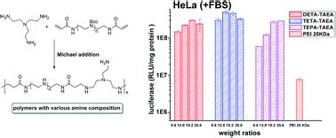 Polyethylenimine analogs for improved gene delivery: effect of the type of amino groups - RSC ...