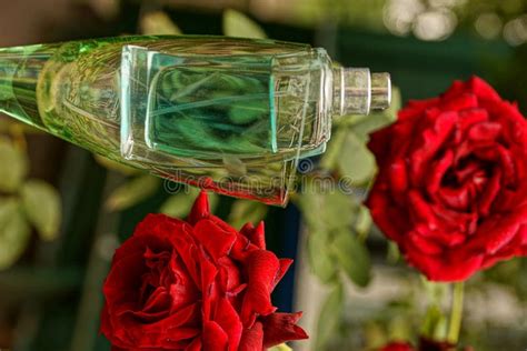 Bottle of Perfume in a Glass Near Red Roses Stock Photo - Image of liquid, deodorant: 100924986