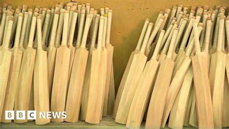 The Indian town where cricket bats are made - BBC News