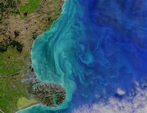 Satellite Images of Phytoplankton Blooms in Earth’s Oceans