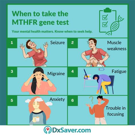 MTHFR Gene Test: Mutations, Symptoms, Diagnosis and Test Cost – DxSaver.com