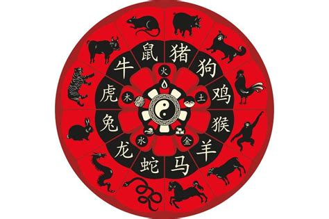 Signos del zodiaco chino y sus caracteristicas