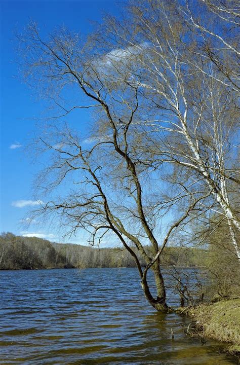 Willow River State Park Waterfall Stock Image - Image of flowing, peaceful: 11718381