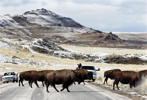 Early Antelope Island: From Daddy Stump to Church Island to Alma Peak - Deseret News