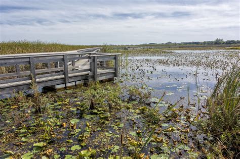 Point Pelee National Park