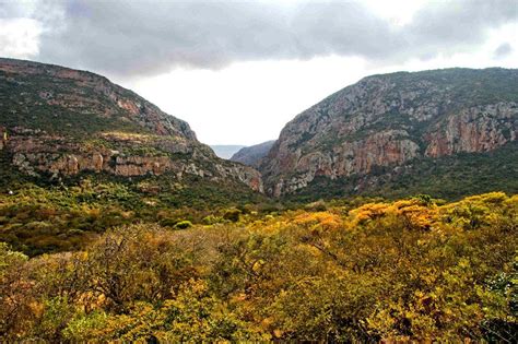 The beauty of Limpopo: Limpopo– Modules – SA Specialist