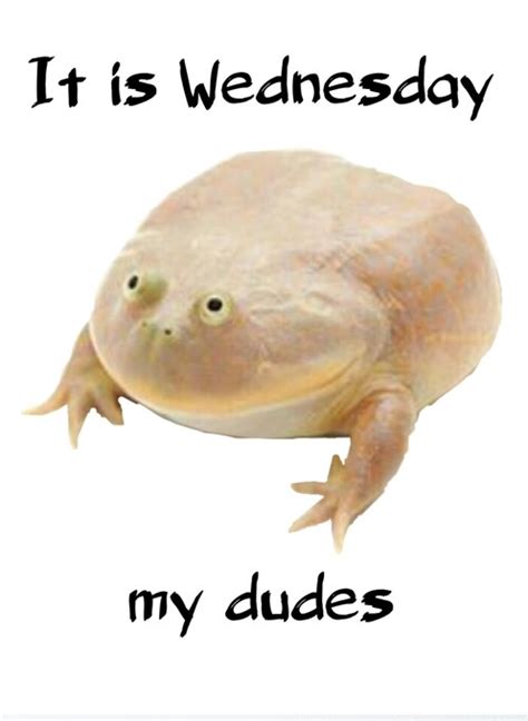 wednesday frog Blank Template - Imgflip