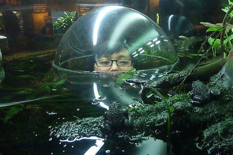 Vancouver Aquarium is one of the very best things to do in Vancouver