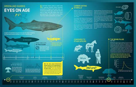 Scottish Association for Marine Science on Twitter: "#SharkWeek | DYK ...