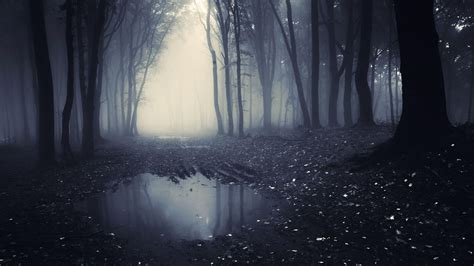 Dark Rainy Forest Wallpapers - Top Free Dark Rainy Forest Backgrounds ...