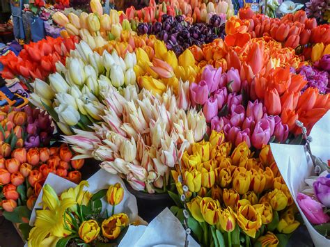 Tulips at the market Photograph by Yuri Levchenko - Fine Art America