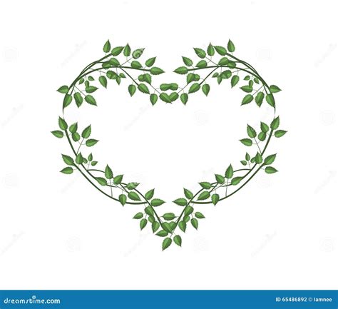 Vine With Heart Shaped Leaves