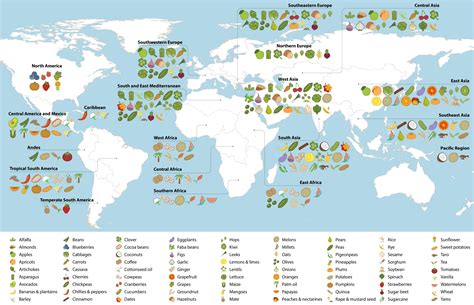 Columbian Exchange Food Chart Low Budget