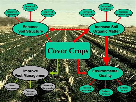 Nutrient cycle, Soil, Crop rotation