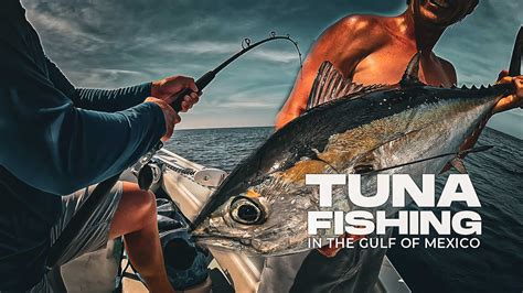 Catching Tuna In The Gulf Of Mexico | Tuna Fishing Videos