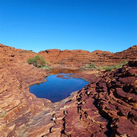 Kings Canyon (Red Centre, Australien) - omdömen - Tripadvisor