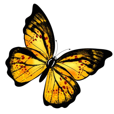 Yellow Transparent Butterfly PNG Clipart Picture | Butterfly clip art ...