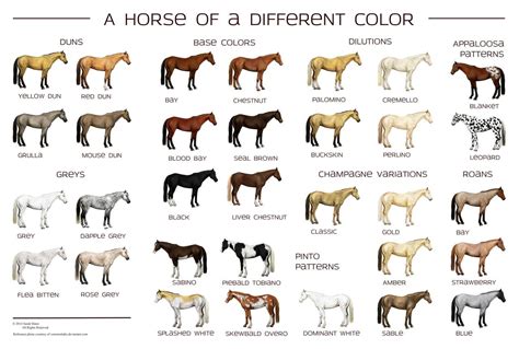 Here’s a really nice horse color chart by Sarah Slater. Description from thewargameswebsite.com ...