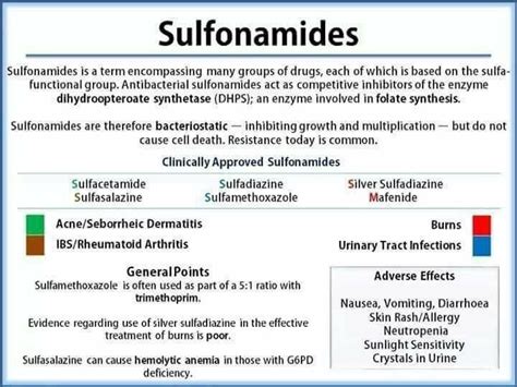 Pin by Andres Sanchez on Pharmacology | Pathophysiology nursing, Pharmacology, Nursing school ...