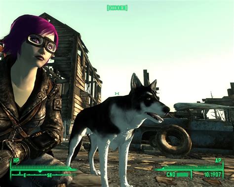 Dogmeat location fallout 3 - jujacube