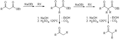 Substituted carbonyl compound synthesis by alkylation or condensation