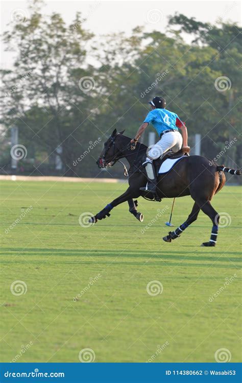 Horse Polo Player Riding Horse in Games. Editorial Photography - Image of vintage, rider: 114380662