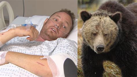 Grizzly bear attack near Bella Bella, B.C., ends with kick to the face ...