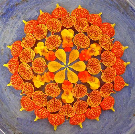 Colorful Mandala Designs Made From Flowers And Plants By Kathy Klein ...