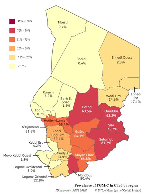 Chad | FGM/C Research Initiative