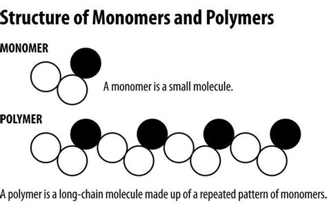 What Monomer Is Represented By This Diagram