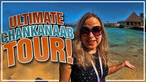 🐬 Chankanaab Beach Adventure Park | Cozumel, Mexico | Snorkeling | Ultimate Tour - YouTube