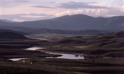 Hayden Valley, Yellowstone National Park - AllTrips